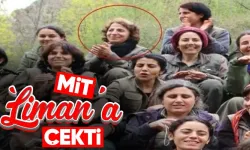 MİT Kamışlı'da PKK'nın sözde sorumlularından Liman Suwyeş'i öldürdü