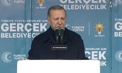 Cumhurbaşkanı Erdoğan: 31 Mart'ta milletin tokadını yemekten kurtulamayacaklar