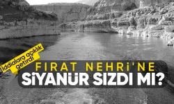 Erzincan'da maden felaketi sonrası Fırat Nehri'ne siyanür karıştı mı? Beklenen açıklama geldi