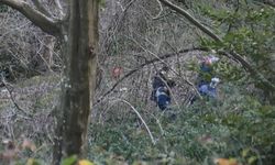 Belgrad Ormanı'nda Korkunç Keşif! Çöp Konteynerinde 'Ceset Aşağıda' Notu Bulundu
