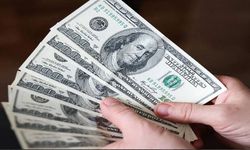 Amerikan finans devinden dolar tahmini: O tarihte 30 liranın altına düşecek!