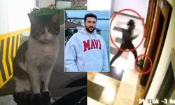 Kedi Eros'un Ölümüne İlişkin Karar Açıklandı! Adalet Yerini Buldu