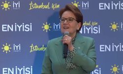 Meral Akşener'den Tayyip Erdoğan Göndermesi: Oy Verin, Güçlendirin