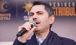 Murat Kurum, İstanbul'da CHP'den alacakları ilçeleri tek tek açıkladı