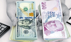 Citi'den Türk lirası için flaş açıklama: Dolar karşısında uzun vadede TL'yi tercih edin