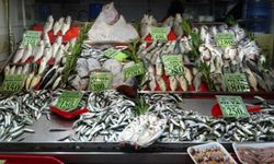 Balık Tezgahlarında Çeşit Azaldı, Fiyatlar Uçtu