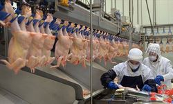 Bakanlık açıkladı: Tavuk eti ihracatına sınırlama getirildi