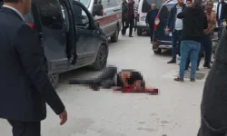 Bursa'da damat dehşeti! Eşini darp edip kayınbiraderlerini öldürdü