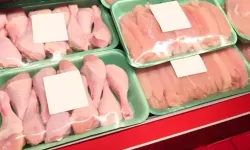 Bakanlığın ihracat kısıtlaması tavuk fiyatları düşürecek mi? İşte detaylar..
