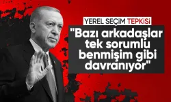 Cumhurbaşkanı Erdoğan'dan partililerine tepki: Bazı arkadaşlar, tek sorumlu benmişim gibi davranıyor