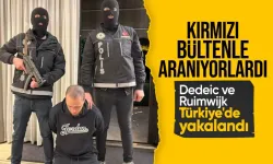 Fransa ve Hollanda'nın kırmızı bültenle aradığı 2 suçlu İstanbul'da yakalandı