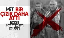 PKK'lı Sedat Aksu etkisiz hale getirildi