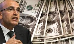 Türk Yatırım Fonu Kuruluyor! Kayıtlı Sermaye 500 Milyon Dolar