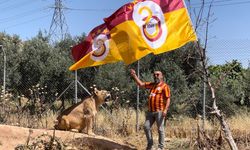 Diyarbakırlı Taraftar, Galatasaray’ın 24. Şampiyonluğunu Aslanlarıyla Kutladı