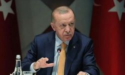 Cumhurbaşkanı Erdoğan'dan Kurmaylara Başıboş Köpekler İçin Talimat