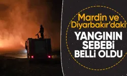Mardin ve Diyarbakır'da çıkan anız yangınının çıkış sebebi ortaya çıktı