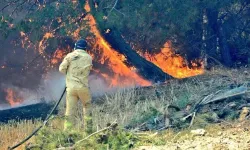 Valilik açıkladı: Orman yangınlarına karşı dikkatli olun
