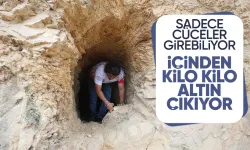 Sadece Cücelerin Girebildiği Mağaradan Altın Çıkıyor