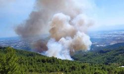 Türkiye'nin Dört Bir Yanında Orman Yangını! Havadan ve Karadan Müdahale Sürüyor