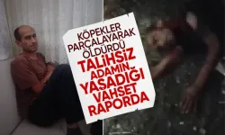 Fatih'te sokak köpeklerinin parçalayarak öldürdüğü adam neler yaşadı? Vahşet hastane raporunda