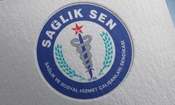 Sağlık-Sen Başkanı: Üniversite Hastanelerine 'Birlik' Kurulmalı