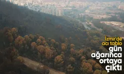 İzmir'deki yangın felaketinin bilançosu gün ağarınca ortaya çıktı