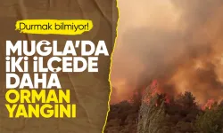 Muğla'nın Yatağan ve Ula ilçelerinde orman yangını!