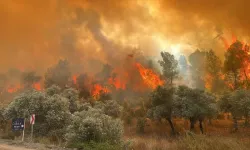 Türkiye Genelinde Orman Yangınları Patlak Verdi! Beş İlde Mücadele Sürüyor