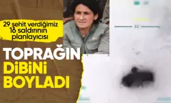 PKK'ya ağır darbe! Kırmızı kategorideki terörist Seyran Çomak etkisiz hale getirildi