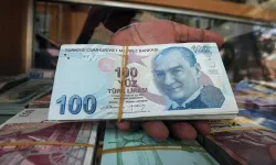 Banka faiziyle zengin oldular! BDDK 10 ili açıkladı