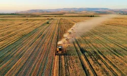 Tarım Arazilerinin Kiraya Verilmesi Kararı Resmi Gazete'de