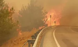 İki İlçede Daha Orman Yangını Çıktı! Karayolu Trafiğe Kapatıldı