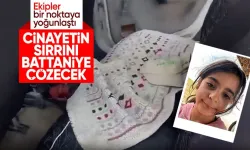 İtirafçı Nevzat Bahtiyar'ın işaret ettiği battaniye Narin Güran cinayetinin sırrını çözebilir