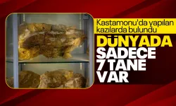 Kastamonu'da dinozor fosili bulundu: Dünyada sadece 7 noktada tespit edildi