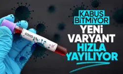 Yeni varyant dünyada hızla yayılıyor: Havaların soğuması ile baskın hale gelecek