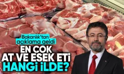 Bakanlıktan açıklama geldi! İşte en çok at, eşek ve domuz eti bulunan şehirler