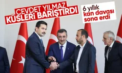 Cumhurbaşkanı Yardımcısı Cevdet Yılmaz, Şanlıurfa'da Şenyaşar ve Yıldız ailelerini barıştırdı