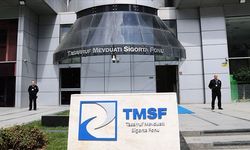 Tasarruf Mevduatı Sigorta Fonu 3 şirketi satışa çıkardı