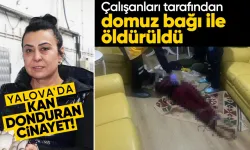 Yalova'da kadın girişimci çalışanları tarafından domuz bağı ile öldürüldü