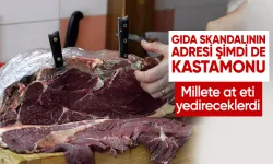 Bu defa gıda skandalı Kastamonu'da patlak verdi! Millete at eti yedireceklerdi