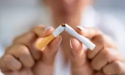 2015 Sonrası Doğanlara Ömür Boyu Sigara Yasağı Yolda