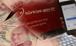 Tüm Hesaplar Tek Sekmede! e-Devlet'te Ödemeler ile İlgili Yeni Hizmet...