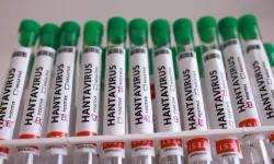 Fransa’dan hantavirüs açıklaması: Testi pozitif çıkan yolcunun durumu kötüleşiyor