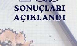 LGS 2026 Sonuçları Açıklandı! İşte sorgulama ekranı