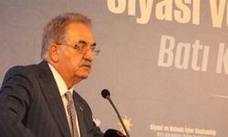 AK Partili Hayati Yazıcı: Mevcut anayasa yamalı bohçaya döndü