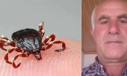 Keneyi kendi çıkardı, dört gün sonra öldü