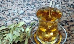 Tıbbi Bitki Çaylarında Yeni Dönem: Sadece Eczanelerde Satılacak