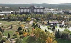 Eskişehir Osmangazi Üniversitesi Rektörlüğü Sözleşmeli Personel Alım İlanı