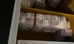 Alihan Kuriş Suç Örgütü operasyonunda kilitli kasalardan tomar tomar döviz çıktı