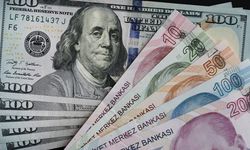 Dolar/TL'den yeni rekor